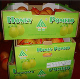 Honey Pomelo in Carton